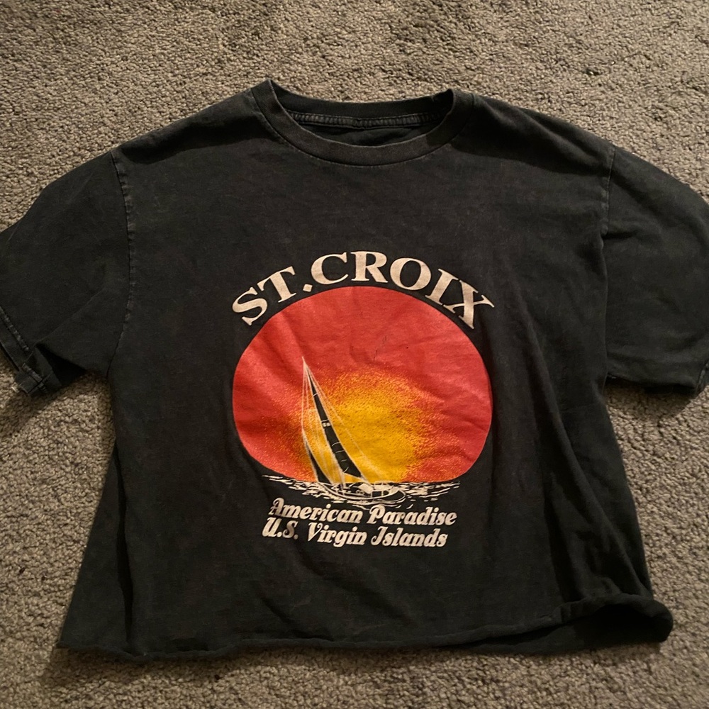 brandy crop top